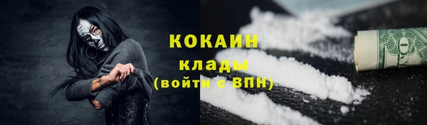 твердый Няндома
