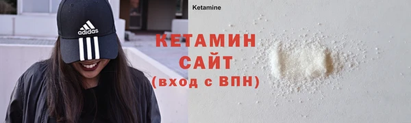 твердый Няндома