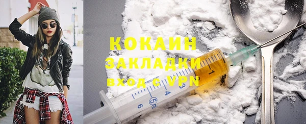твердый Няндома