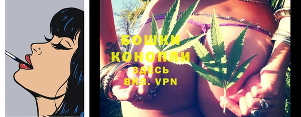 твердый Няндома