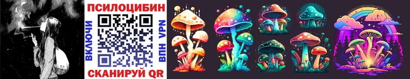 Псилоцибиновые грибы Psilocybe  закладка  ОМГ ОМГ зеркало  Энем 