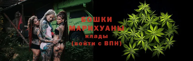 Канабис SATIVA & INDICA  купить наркоту  Энем 